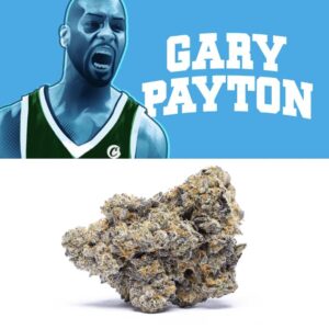 Gary Payton Strain