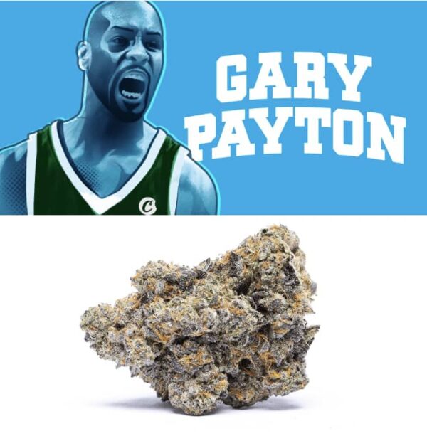Gary Payton Strain